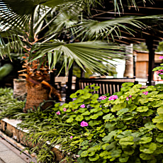 Pia Bella Hotel